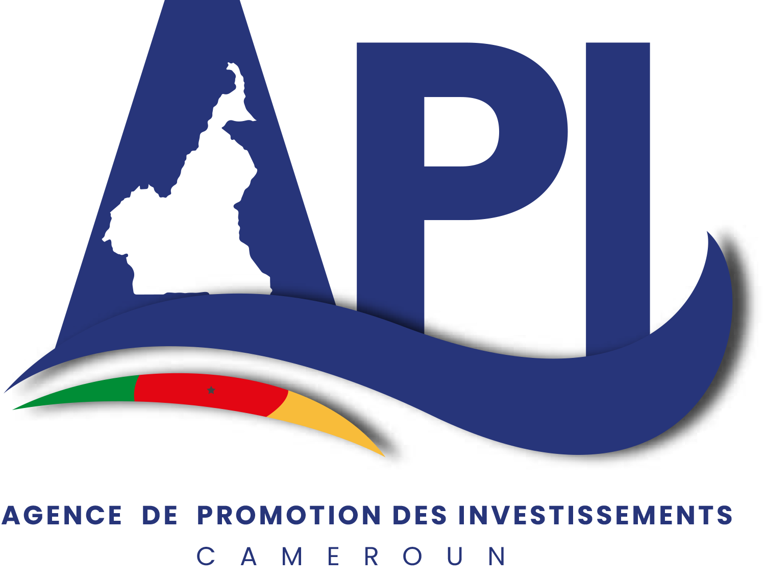 Logo API Cameroun